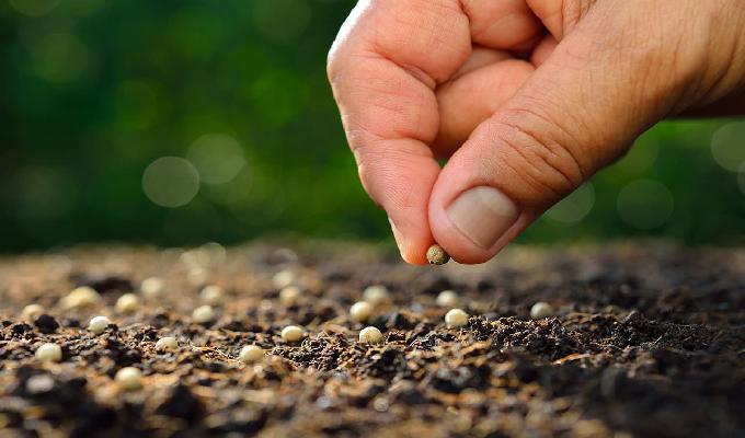 10 claves para cultivar la bondad en la familia