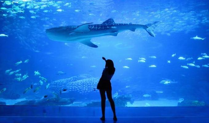 Acuario de la bahía de Monterey