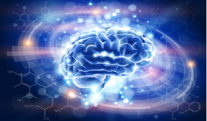 Competencias para alinear las emociones con la mente