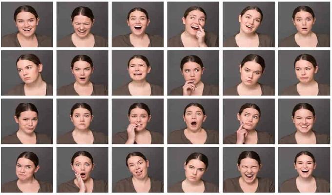 El cerebro y las emociones en el lenguaje