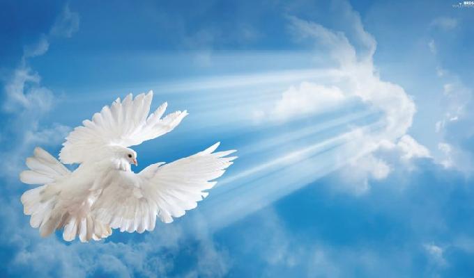 La gracia divina del Espiritu Santo