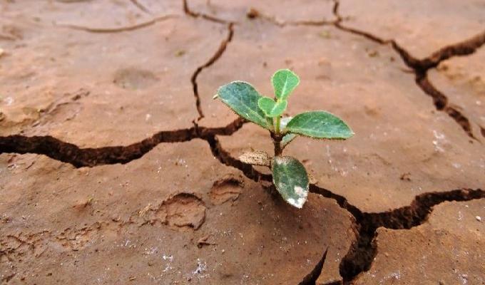 Los 12 hábitos de las personas resilientes