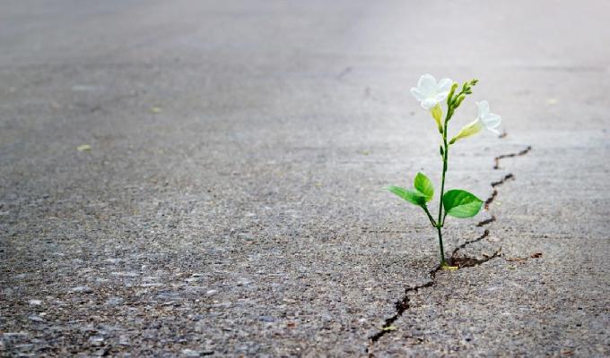 Los 12 hábitos de las personas resilientes
