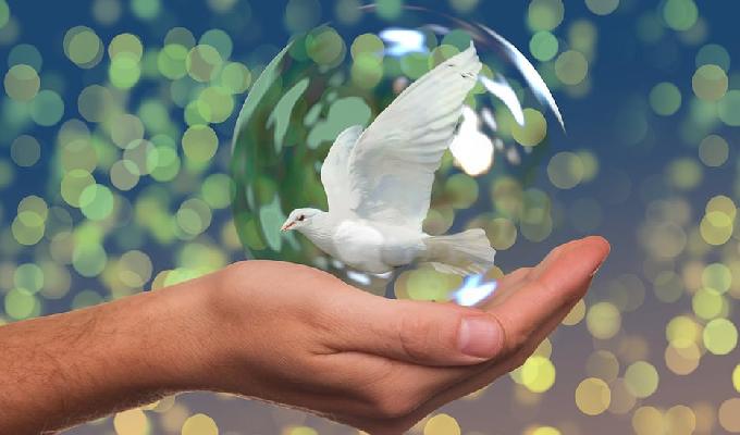 Vivir con paz y perdón